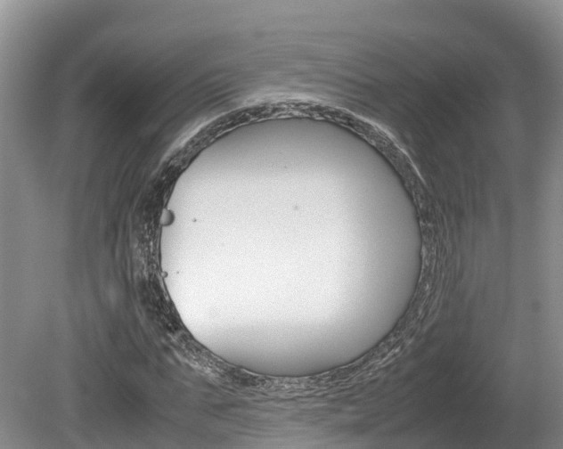 X0000080110871200612080952