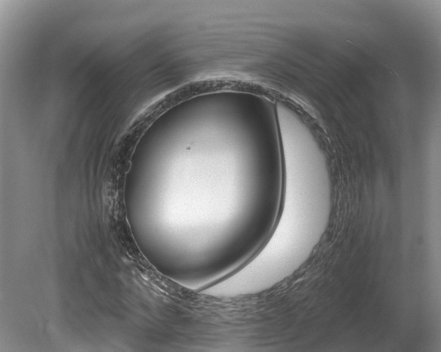 X0000080110872200612080952
