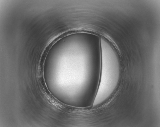 X0000080110876200612080952