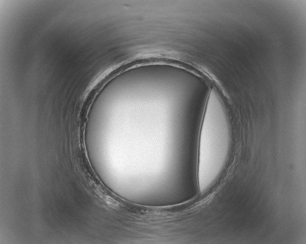 X0000080110877200612080952