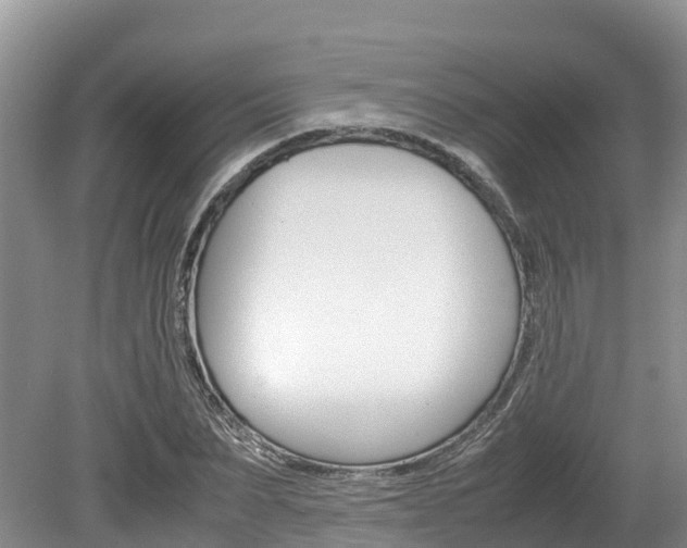 X0000080110879200612080952