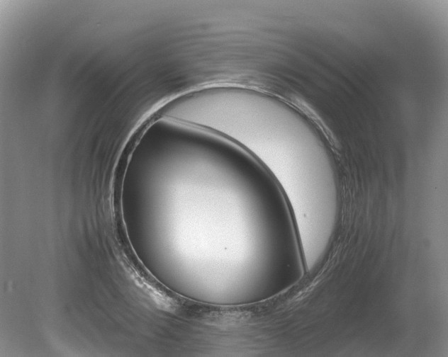 X0000080110884200612080952