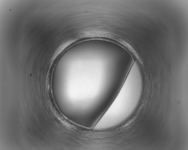 X0000080110885200612080952