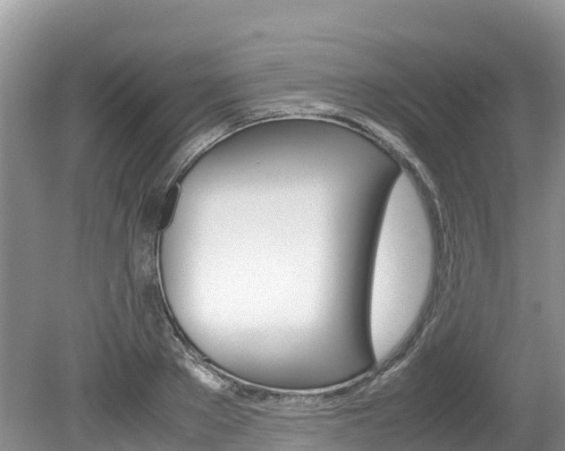 X0000080110889200612080952