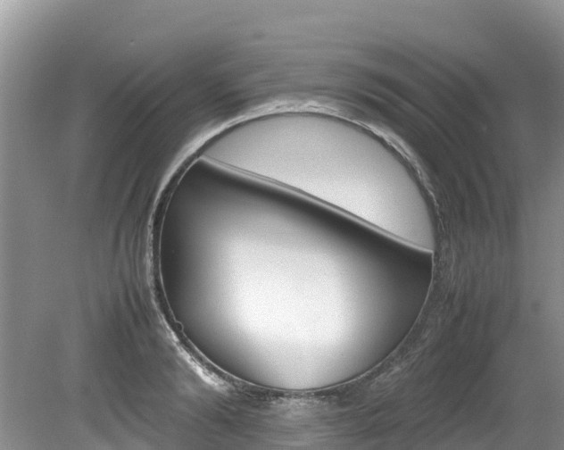 X0000080110894200612080952