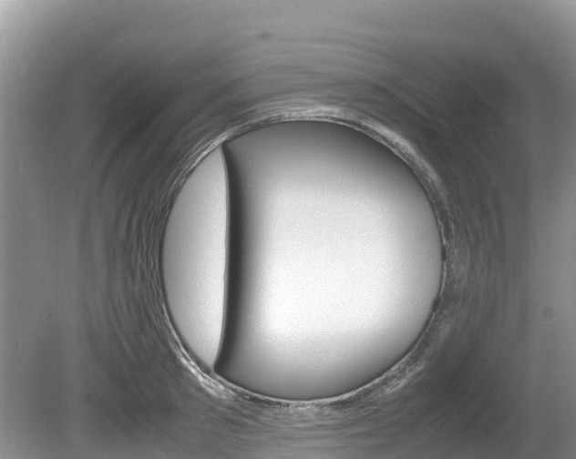 X0000080110897200612080952