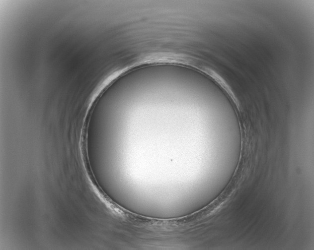 X0000080110901200612080952