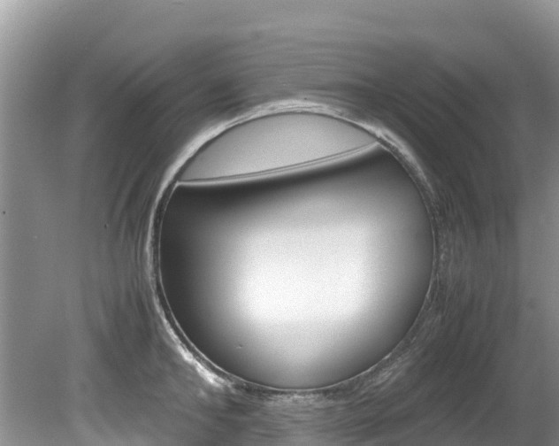 X0000080110902200612080952