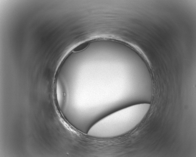 X0000080110903200612080952