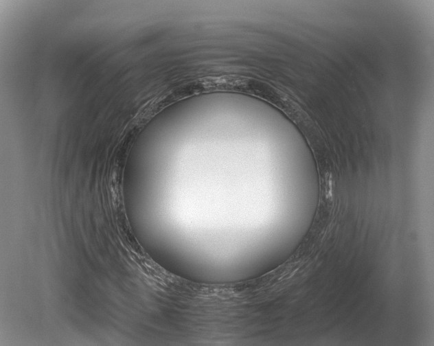 X0000080110915200612080951