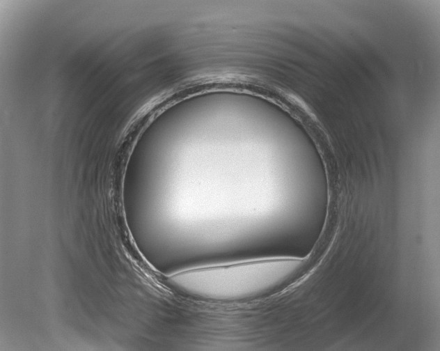 X0000080110922200612080951