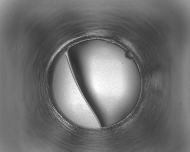 X0000080110923200612080951