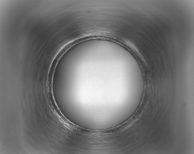X0000080110924200612080951