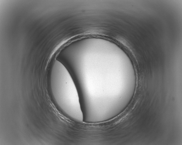 X0000080110925200612080951