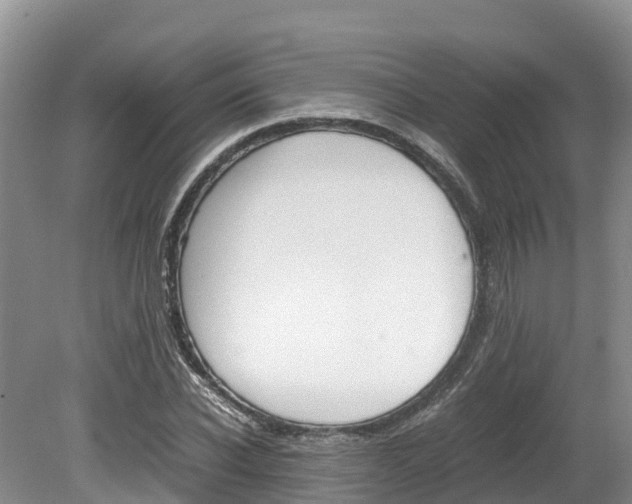 X0000080110926200612080951