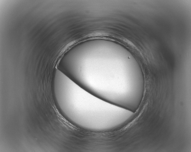 X0000080110929200612080951