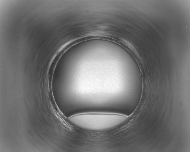 X0000080110931200612080951