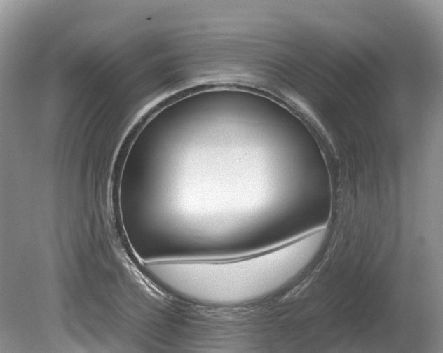 X0000080110932200612080951