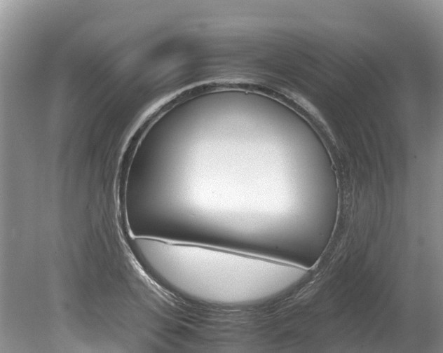 X0000080110935200612080951