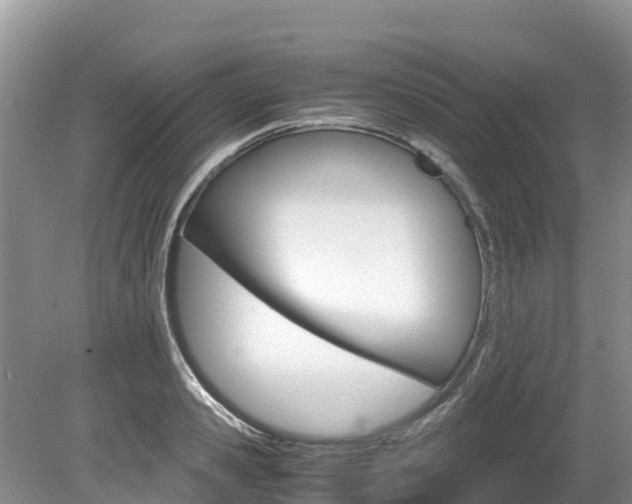 X0000080110941200612080951