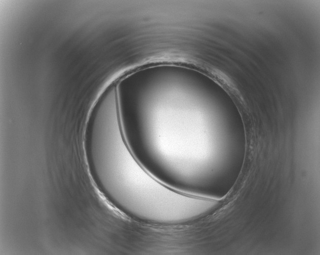 X0000080110942200612080951