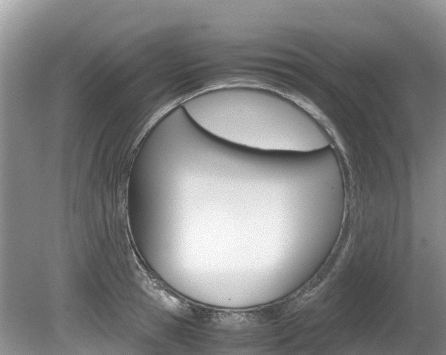 X0000080110945200612080952