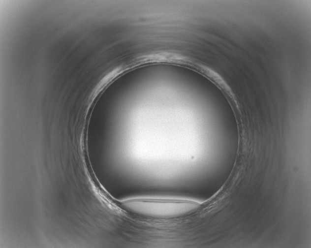 X0000080110946200612080952