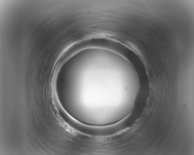 X0000080110948200612080952