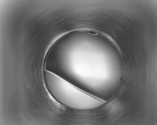 X0000080110951200612080952