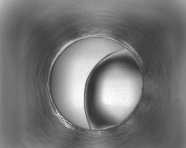 X0000080110956200612080952