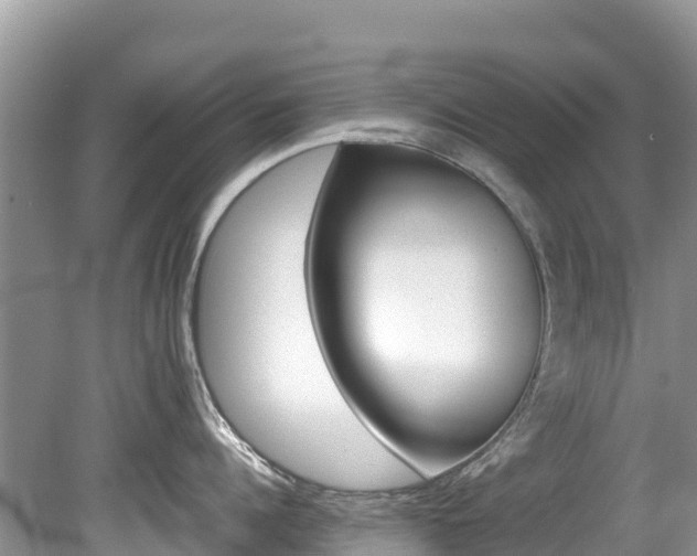 X0000080110960200612080952