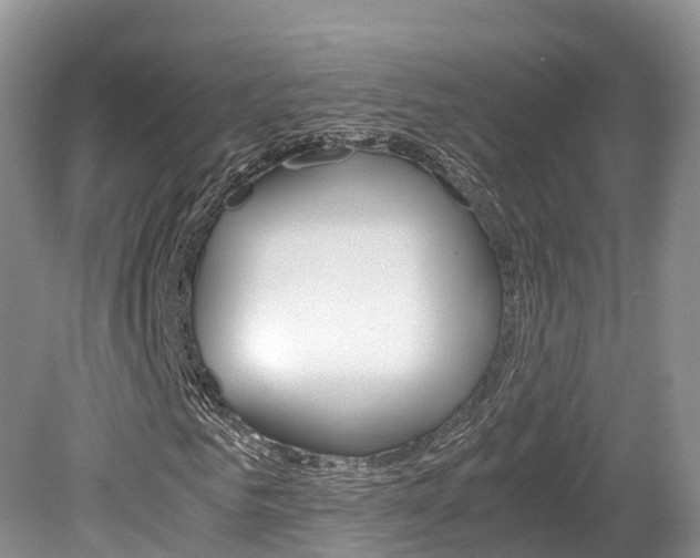 X0000080110961200612080951