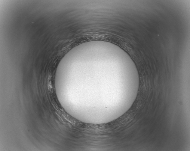 X0000080110962200612080951