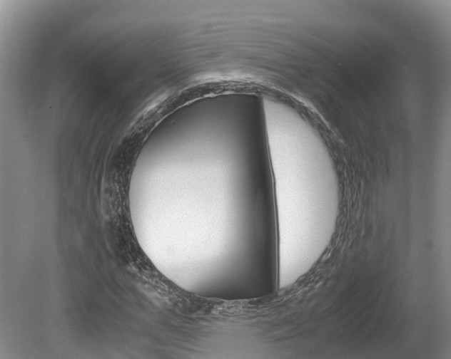 X0000080110967200612080951