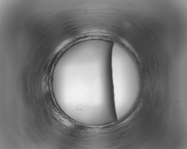 X0000080110970200612080951