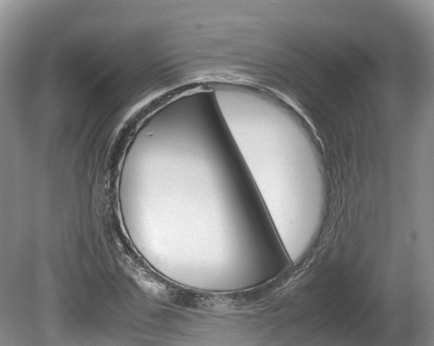 X0000080110971200612080951