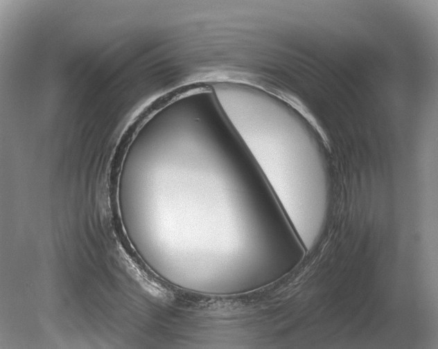X0000080110972200612080951