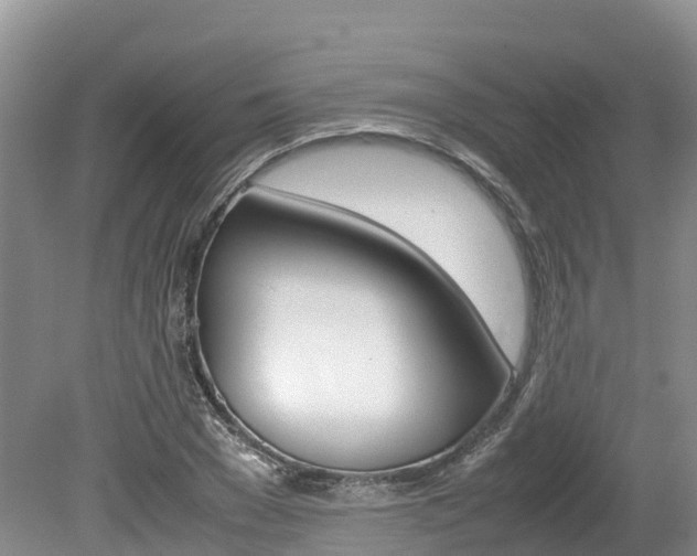 X0000080110977200612080951