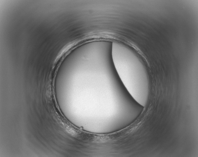 X0000080110978200612080951