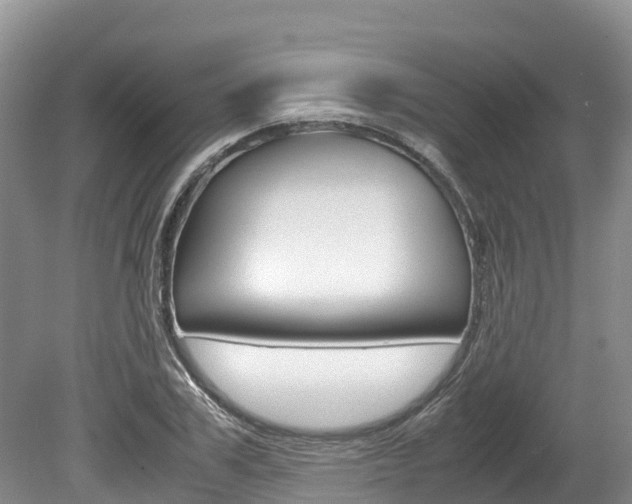 X0000080110979200612080951
