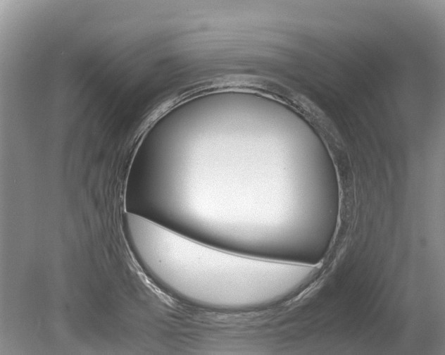 X0000080110985200612080951