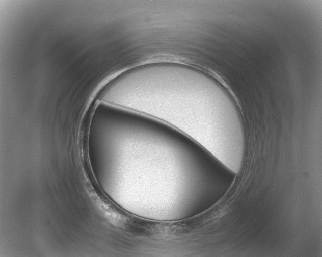 X0000080110987200612080951