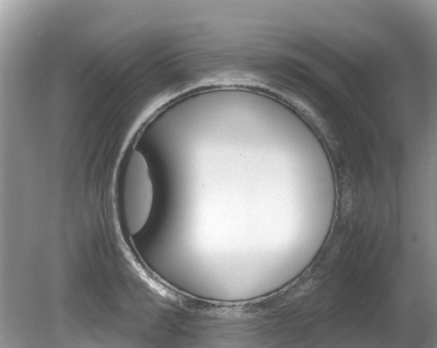 X0000080110990200612080950