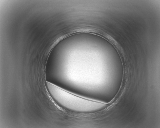 X0000080110993200612080950