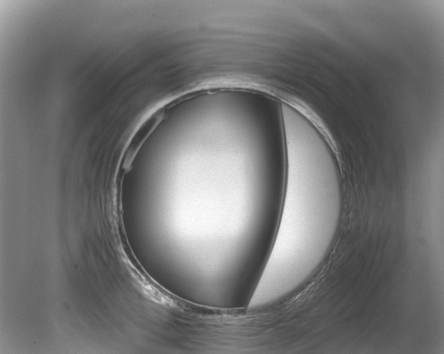X0000080110996200612080950