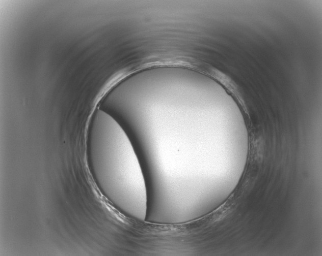 X0000080111002200612080950