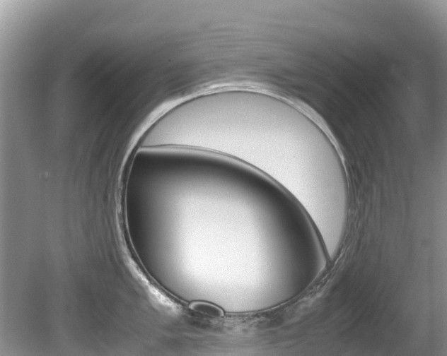 X0000080111005200612080950
