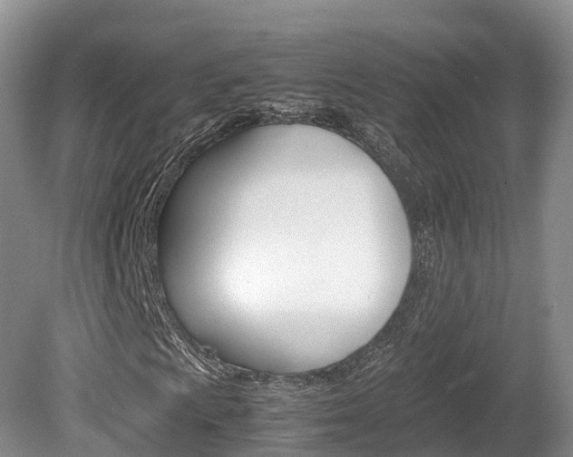 X0000080111009200612080949
