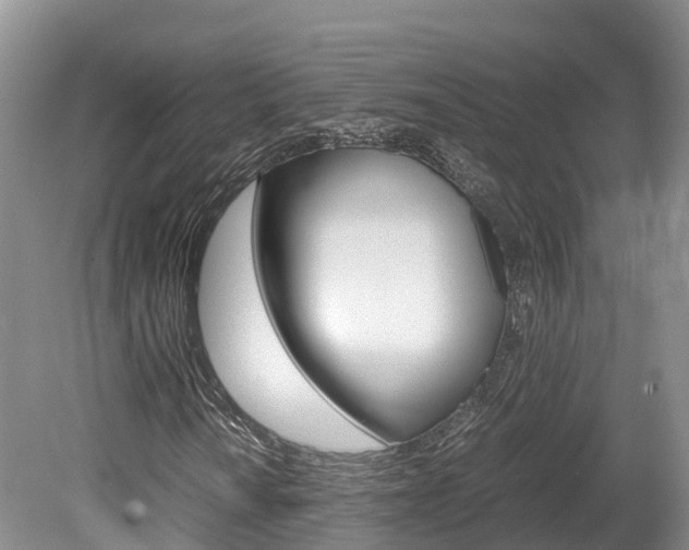X0000080111010200612080949