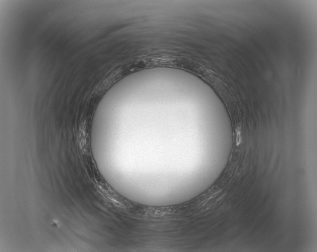 X0000080111011200612080949